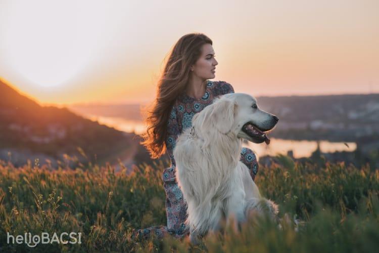 Nguyên nhân bệnh sán chó: Có phải ai nuôi chó, mèo cũng nhiễm bệnh?