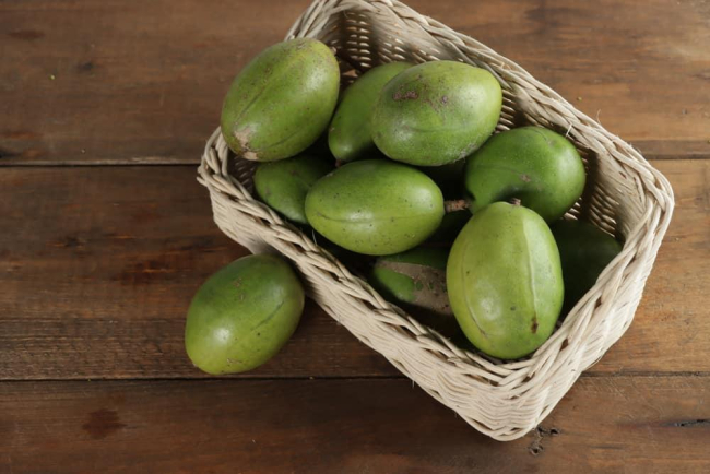 Tác dụng của quả cóc có thể bạn chưa biết • Hello Bacsi