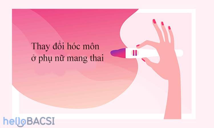 thay đổi hormone gây nám da