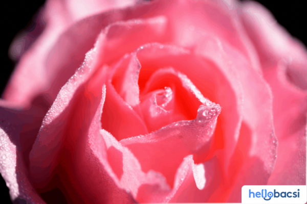 Cách Trị Thâm Mép Vùng Kín