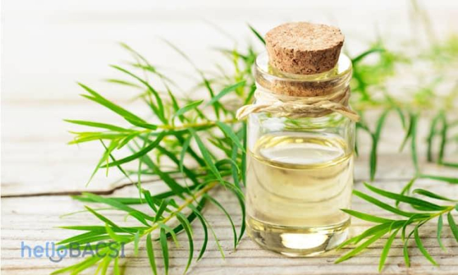 4 cách dùng tinh dầu tràm trà trị sẹo lồi tại nhà