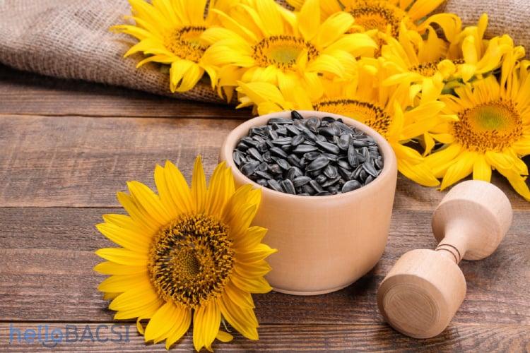 Bà bầu ăn hạt hướng dương: Vừa ngon vừa lành
