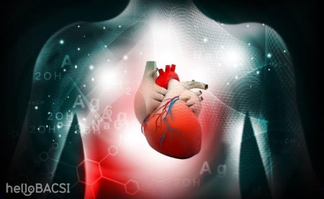 Các bệnh tim mạch: Triệu chứng cần chú ý và cách phòng chống