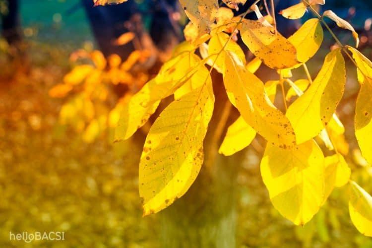 Nhận biết những dấu hiệu người sắp chết để chuẩn bị tâm lý