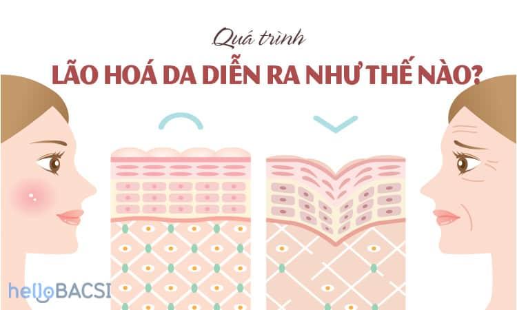 Quá trình da lão hóa diễn ra như thế nào?