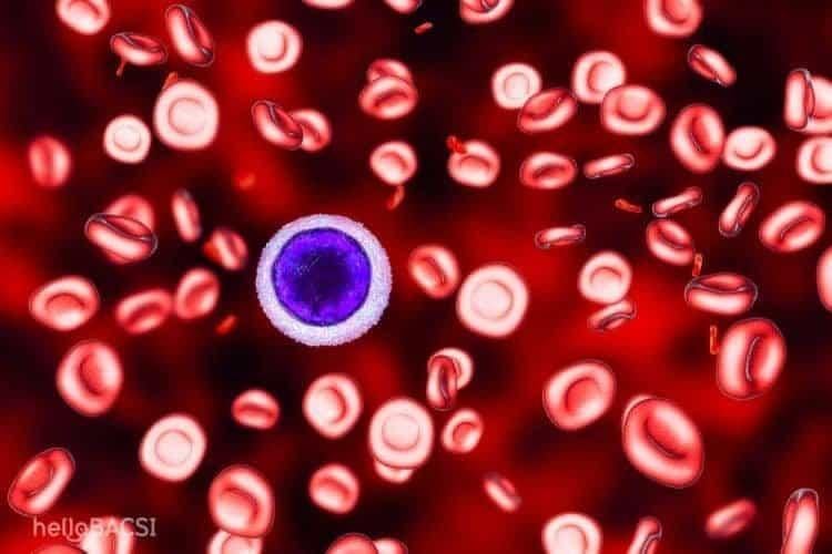 Thiếu máu hồng cầu nhỏ: Hậu quả lại không hề nhỏ!