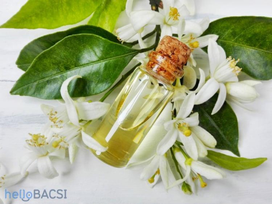 Tìm hiểu về các tác dụng của tinh dầu hoa cam • Hello Bacsi