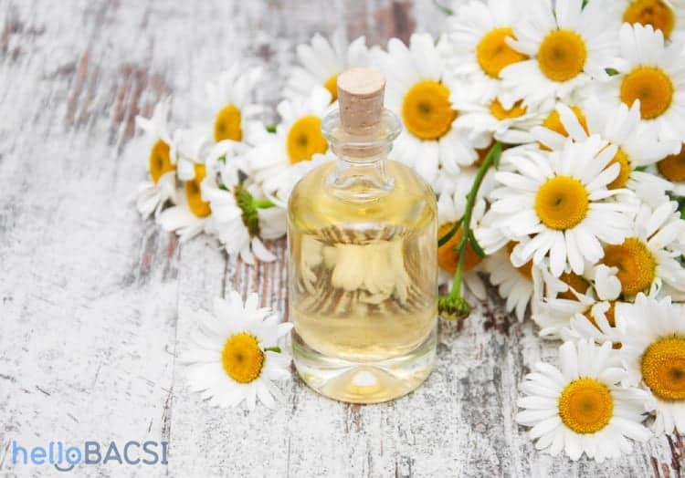 Tinh dầu hoa cúc: Đa chức năng, nhiều công dụng