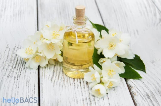 Mê Hoặc Nửa Thế Giới Với 6 Nước Hoa Nữ Hương Hoa Nhài Thanh Lịch