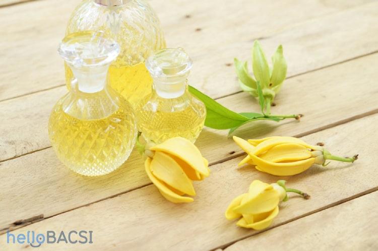Tinh dầu ngọc lan tây: Tốt cho thể chất lẫn tinh thần