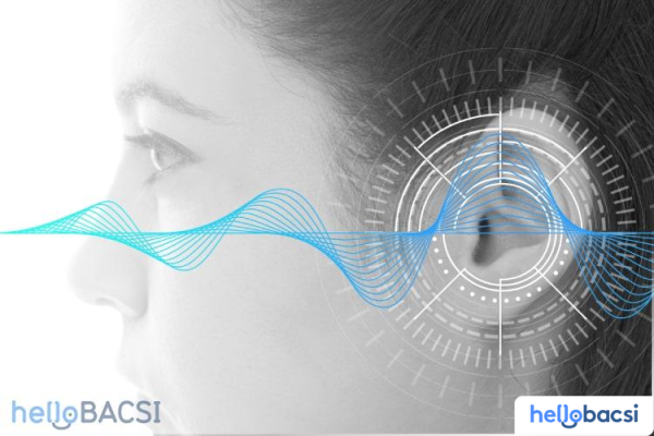 hellobacsi.com