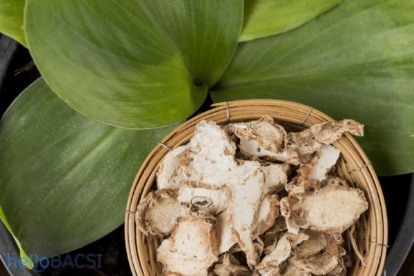 cây địa liền là cây gì
