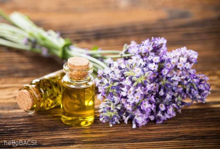 5 loại tinh dầu để phòng ngủ giúp bạn thư giãn, ngủ ngon hơn