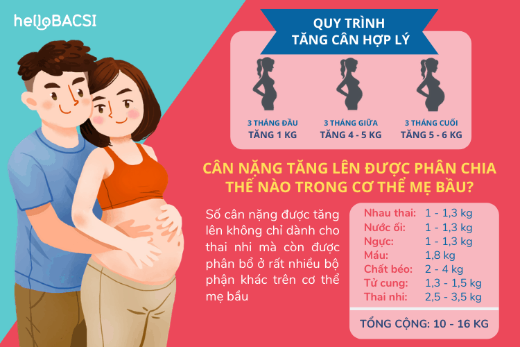 quy trình tăng cân hợp lý