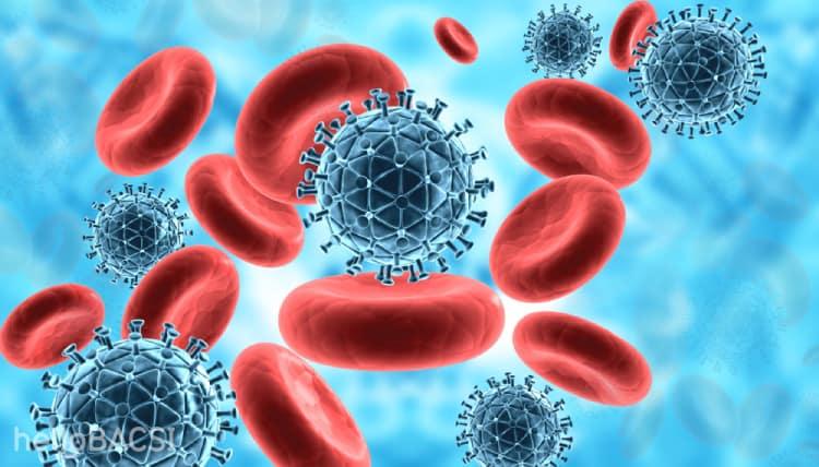 HIV và bệnh AIDS: Tưởng giống nhưng hóa ra lại khác