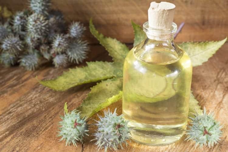 Chất độc ricin từ hạt thầu dầu nguy hiểm như thế nào? Giải độc ra sao?