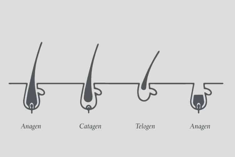 Hormone DHT: Nguyên nhân hói đầu ở nam giới • Hello Bacsi
