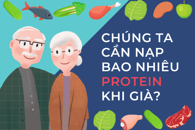 Chúng ta cần nạp bao nhiêu lượng protein khi lớn tuổi?
