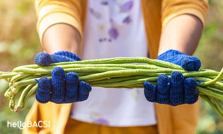 Lợi ích của đậu đũa: Ăn nhiều có giúp ngăn ngừa ung thư?