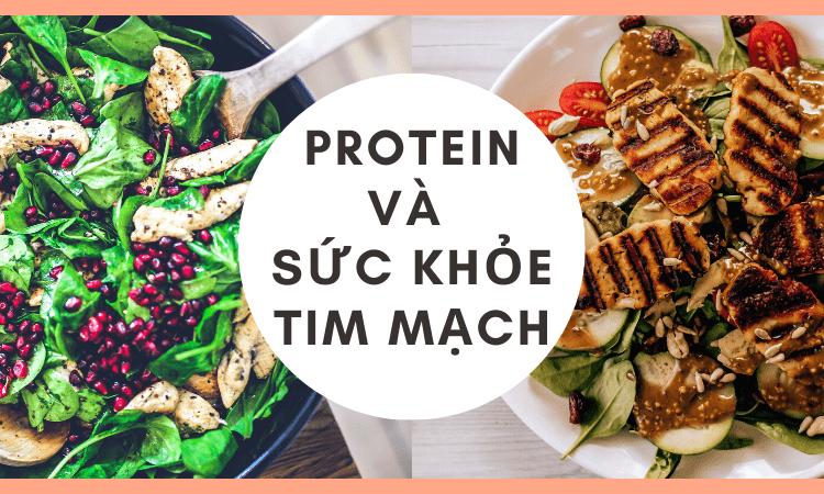 Protein và sức khỏe tim mạch