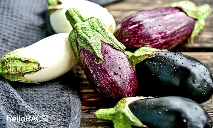 Tác dụng của cà tím trong ngăn ngừa và trị bệnh mãn tính