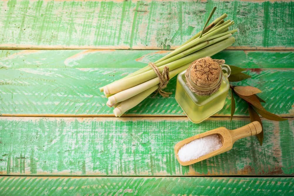 Tác dụng của sả đối với bà bầu và những lưu ý quan trọng cần biết