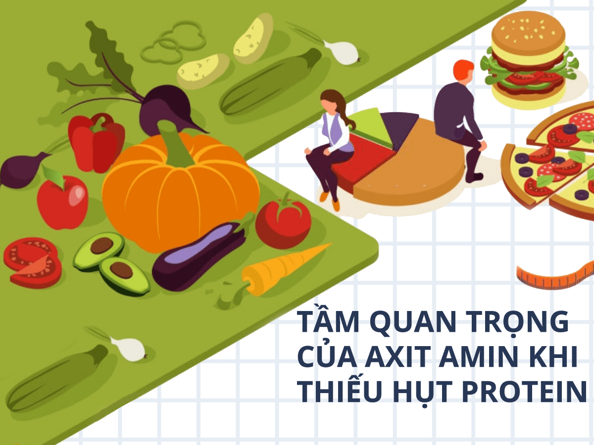 Tầm quan trọng của axit amin khi thiếu hụt protein