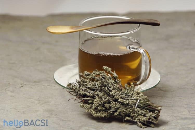 Trà ngải cứu: Nhiều tác dụng tốt để bạn tin dùng