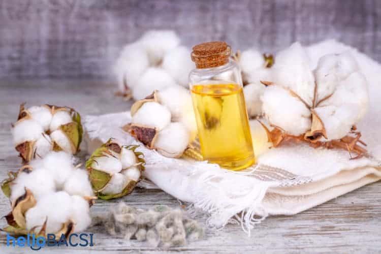 Dầu hạt bông có thực sự tốt cho sức khỏe?