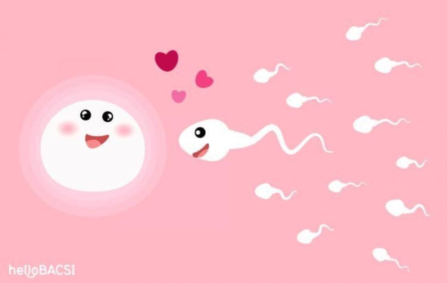 8 dấu hiệu sắp rụng trứng rõ nhất và dễ dàng dự đoán