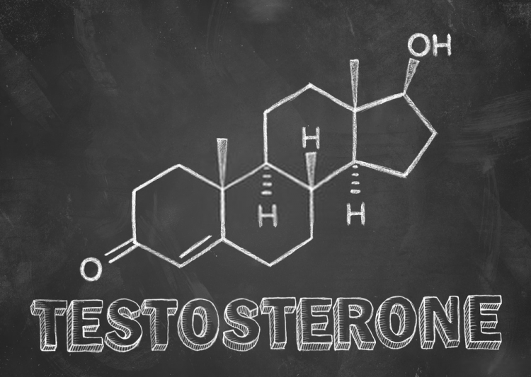 testosterone