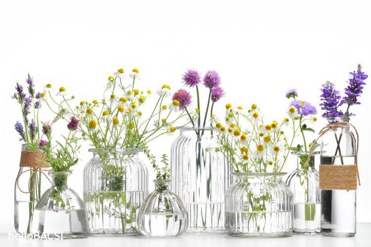 9 tinh dầu cho tóc óng ả mỗi ngày