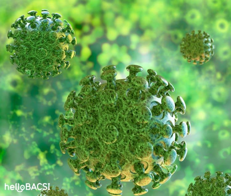 Virus corona chủng mới (SARS - CoV-2): Những điều bạn cần biết