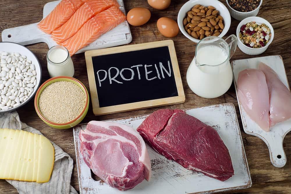 Ung thư dạ dày nên ăn gì? - Thực phẩm giàu protein