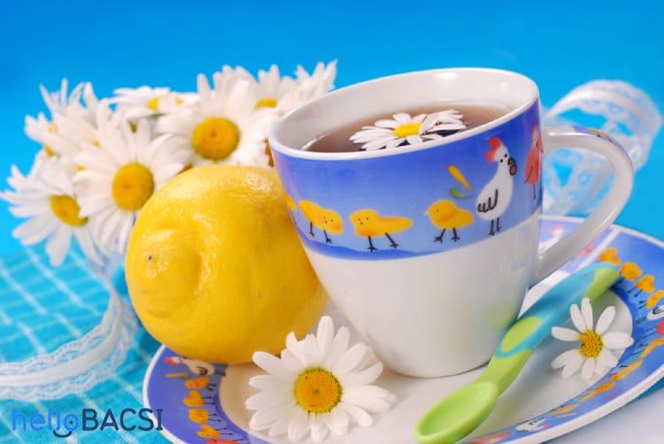 Bỏ túi ngay 8 loại trà thảo mộc tốt cho sức khỏe trẻ nhỏ