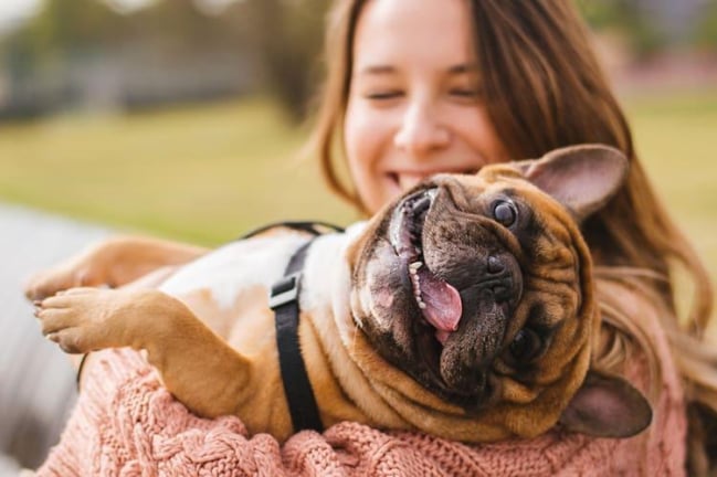 Dị ứng lông chó phải làm sao? Cách nhận biết và xử lý nhanh tại nhà