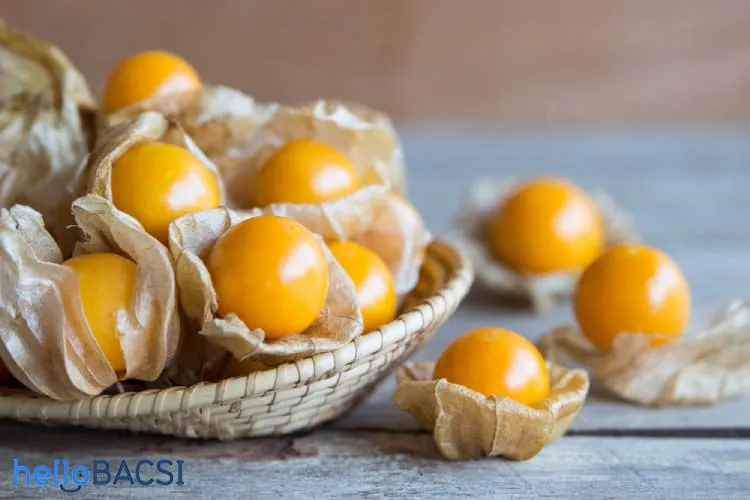 Quả lồng đèn (golden berry): Thứ quả lạ và thú vị