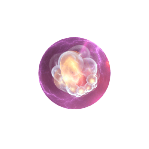 Tuần 3