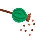 Tuần 4