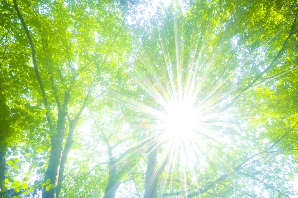 Tia UV: 11 sự thật và lầm tưởng bạn cần biết