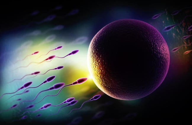 9 tác dụng của tinh trùng không phải ai cũng biết!