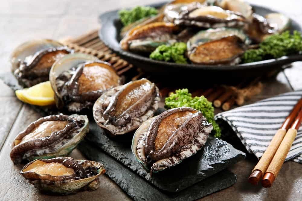 Bào ngư: 7 tác dụng tuyệt vời cho sức khỏe