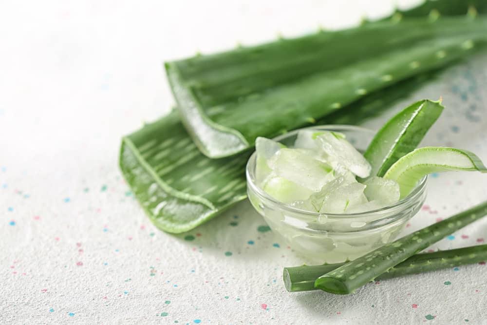 Cách trị thâm đầu gối với lô hội và sữa