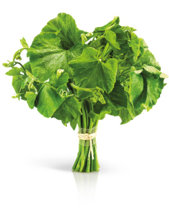 Rau bí và 10 lợi ích sức khỏe bất ngờ • Hello Bacsi