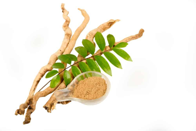 Bách bệnh