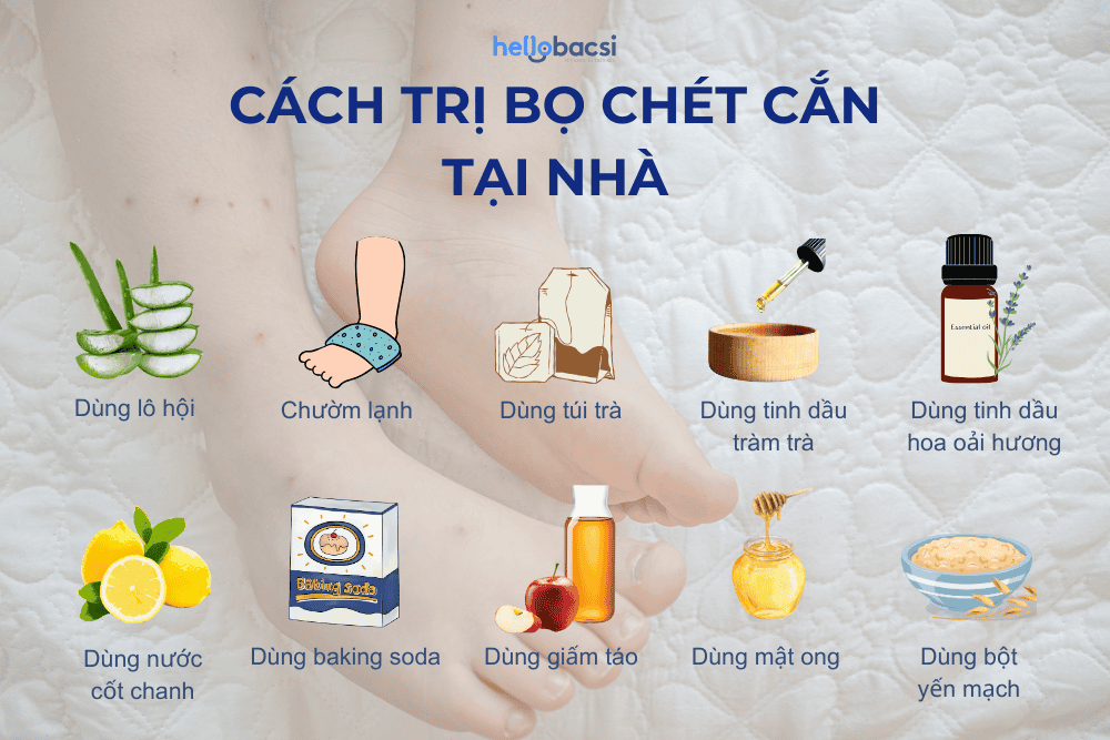 10 cách trị bọ chét cắn tại nhà cho bé