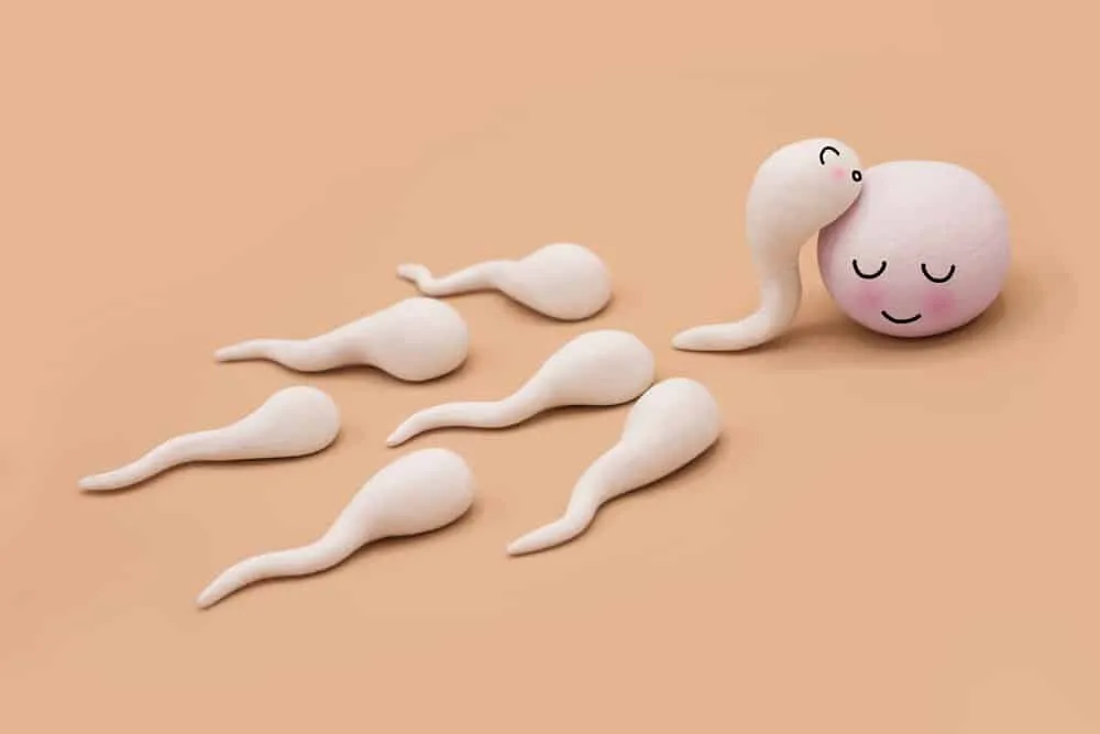 Lỡ quan hệ ngày rụng trứng có thai không?