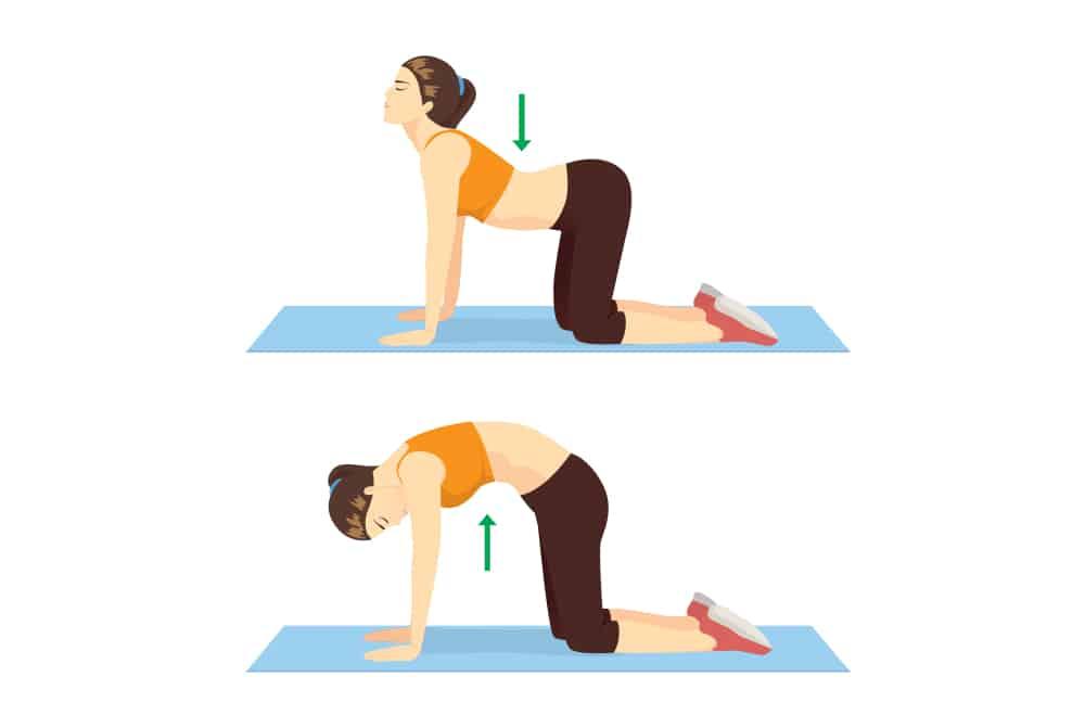 tập yoga