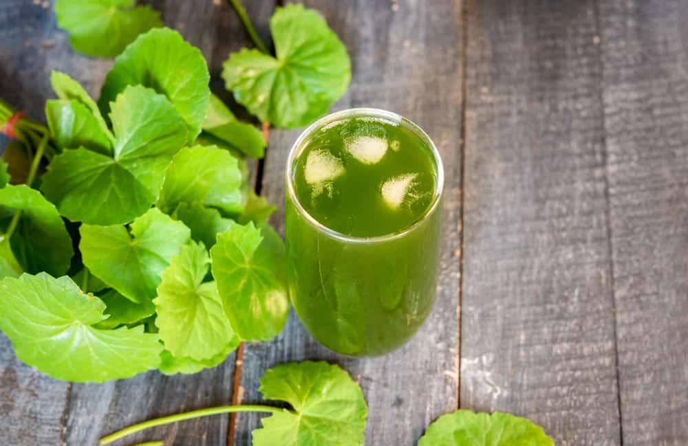 Bà bầu ăn rau má được không? Biết để khỏi hại con mẹ nhé!