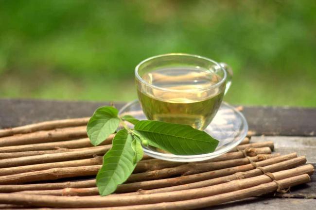 Lá ổi chữa tiểu đường được không và cách nấu lá ổi trị tiểu đường
